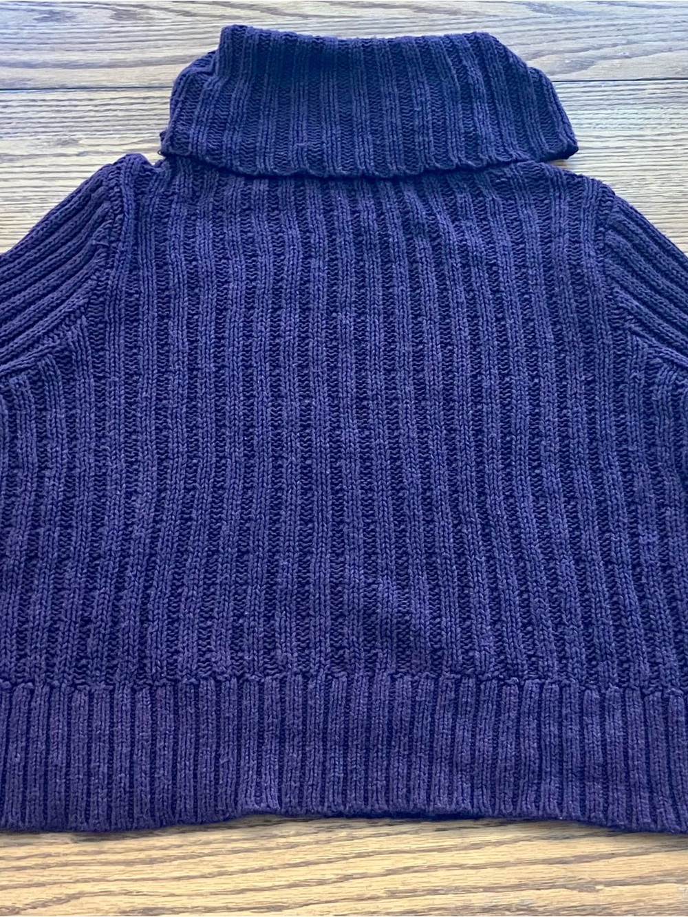Women’s Ribbed Dark Purple Free People Turtleneck Sweater
